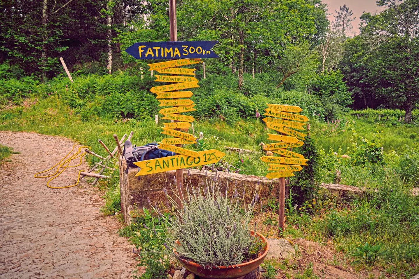 Wandern auf dem Jakobsweg - Die portugiesische Route Garten
