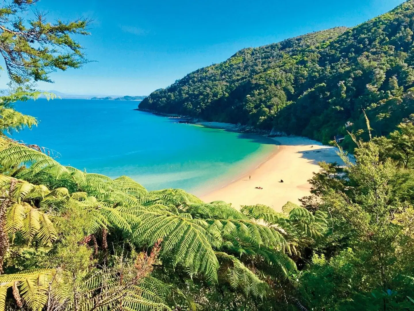 Zwischen Fjorden, Vulkanen & Küsten - Neuseeland entdecken Strand