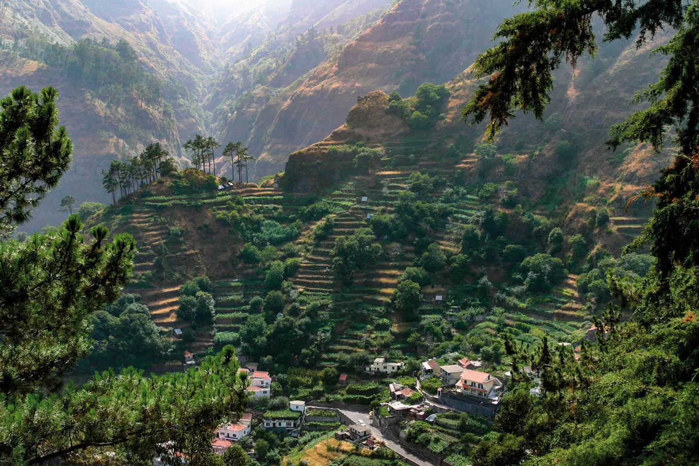 Die besten Seiten von Madeira LANDSCAPE