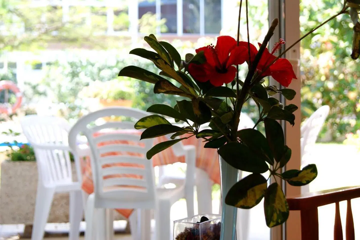 Apartamentos Ecuador LOUNGE_LOBBY