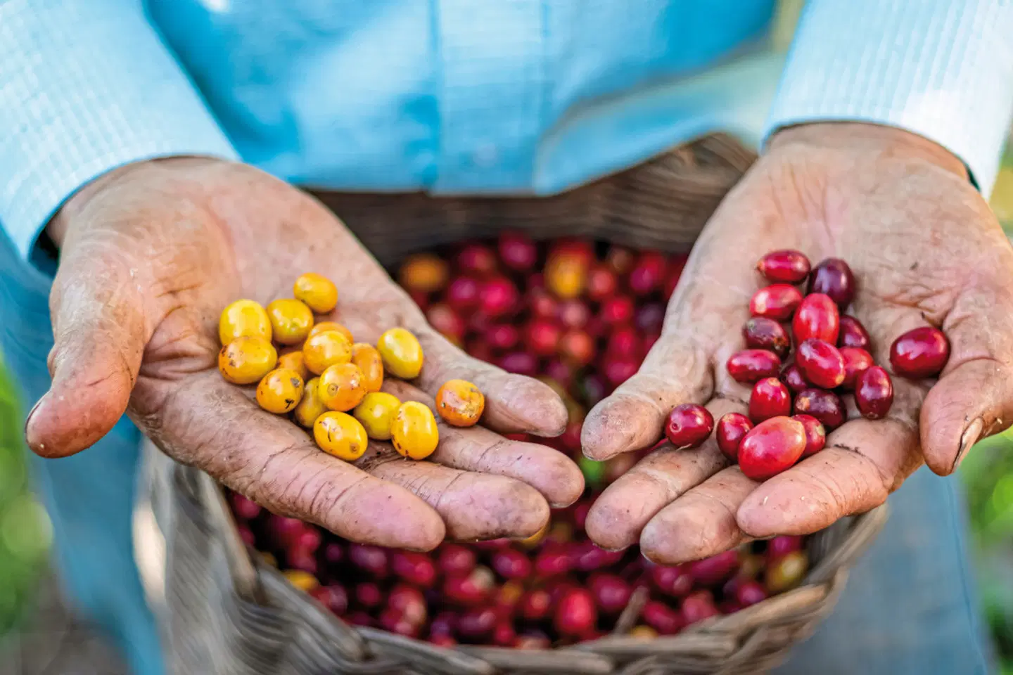 Kolumbien - das besondere Erlebnis Restaurant