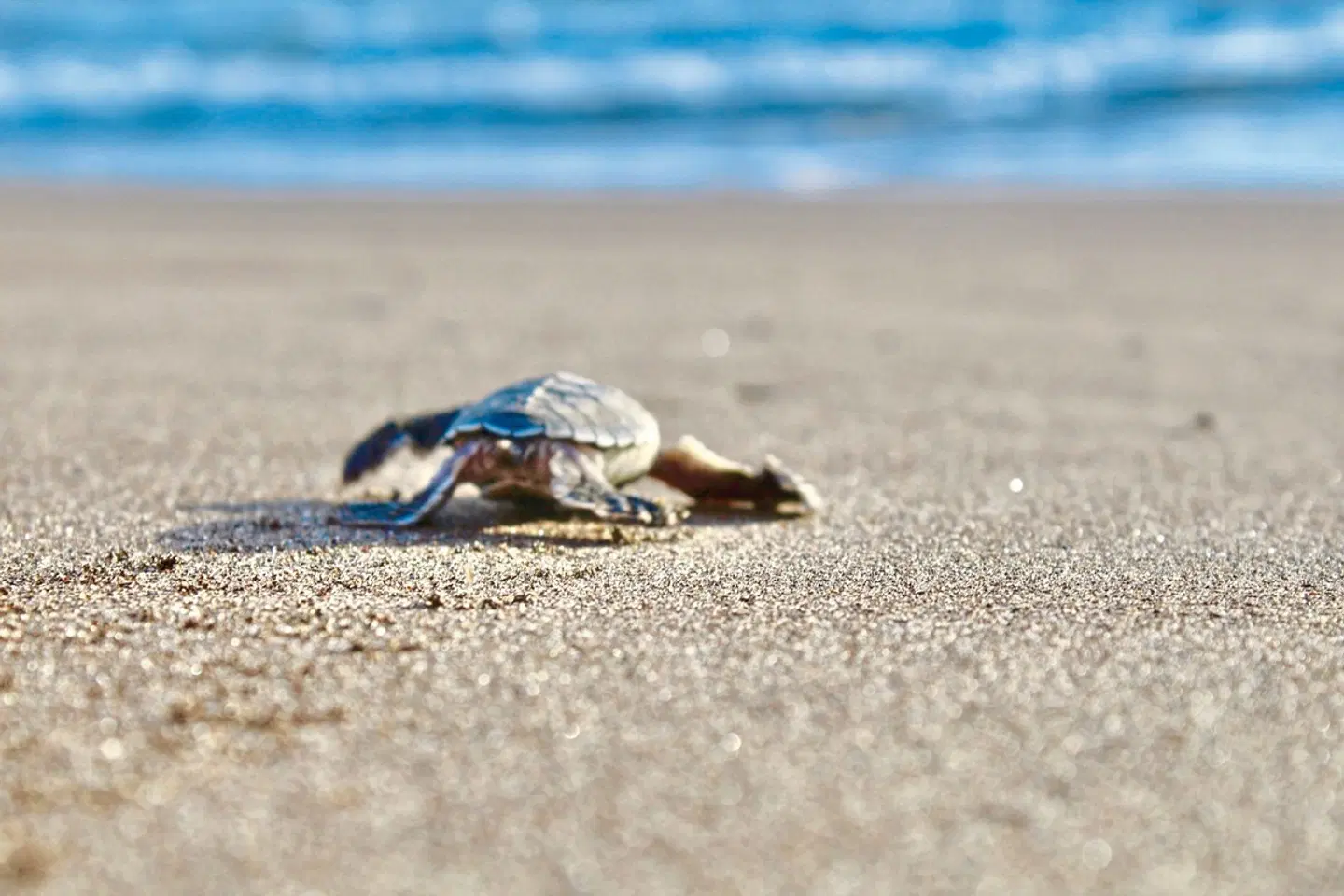 Costa Rica - Aktiv & Relax Strand