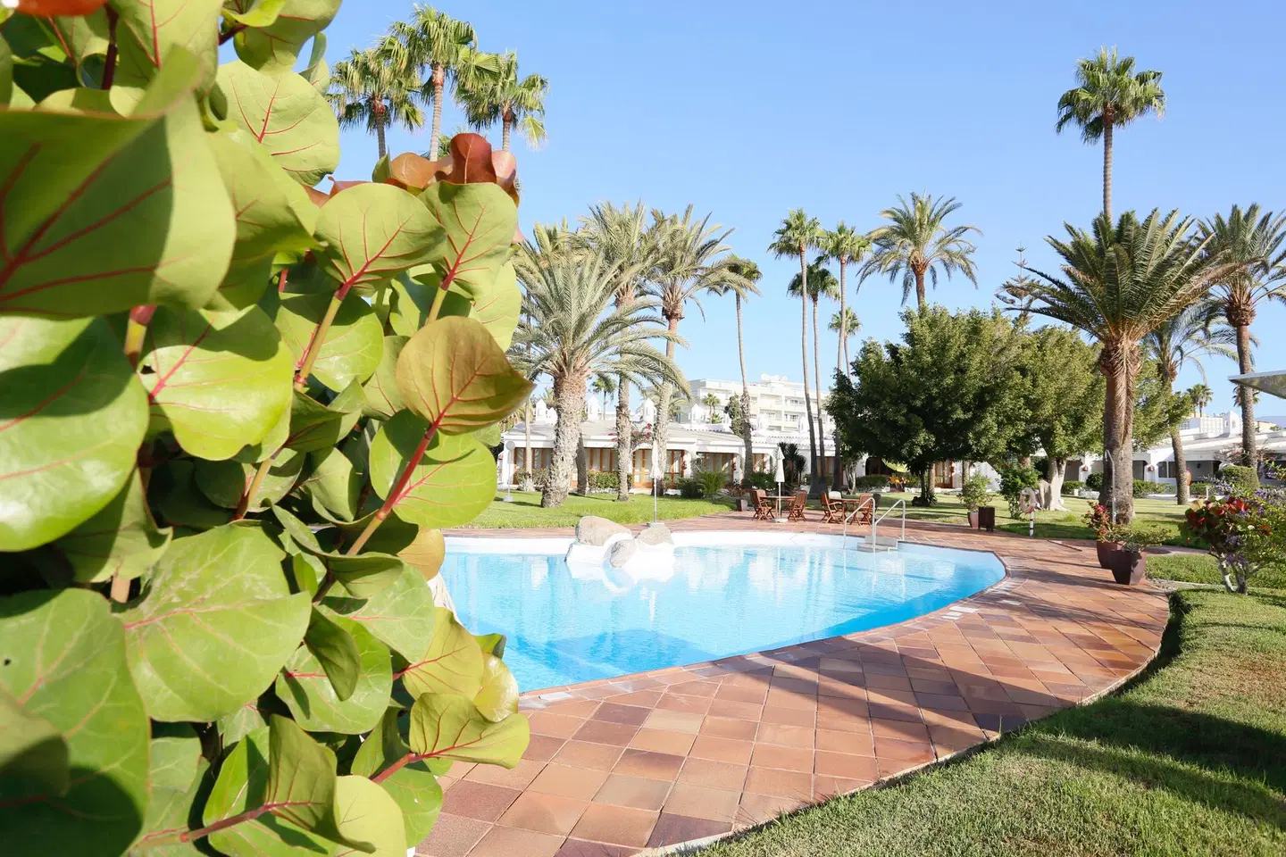 Bungalows Sahara Beach Club OUTDOOR_POOL