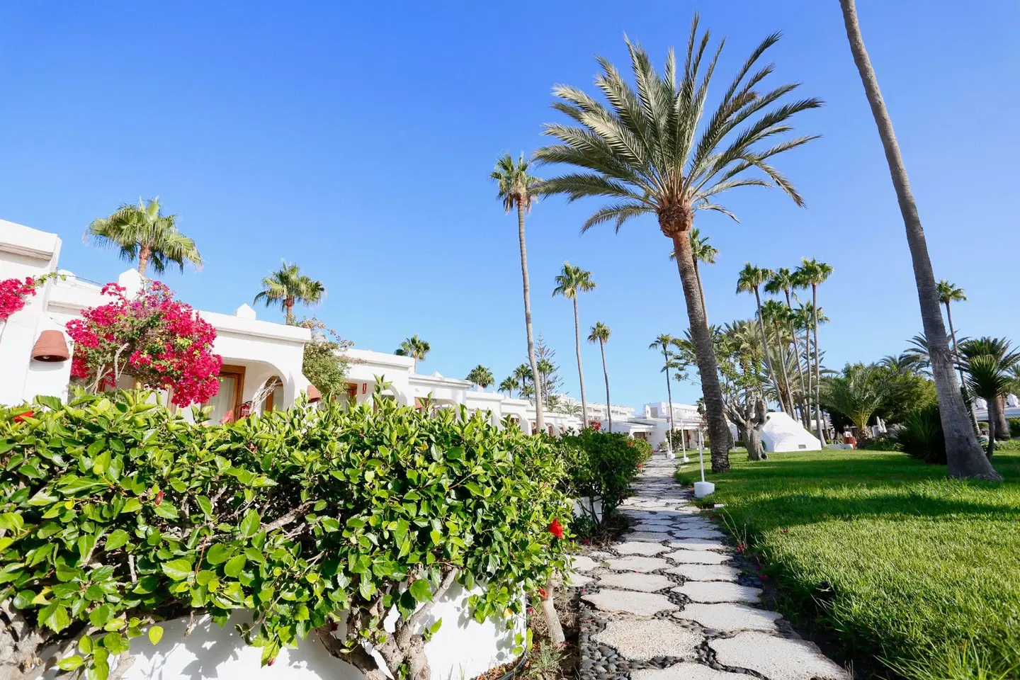 Bungalows Sahara Beach Club Garten