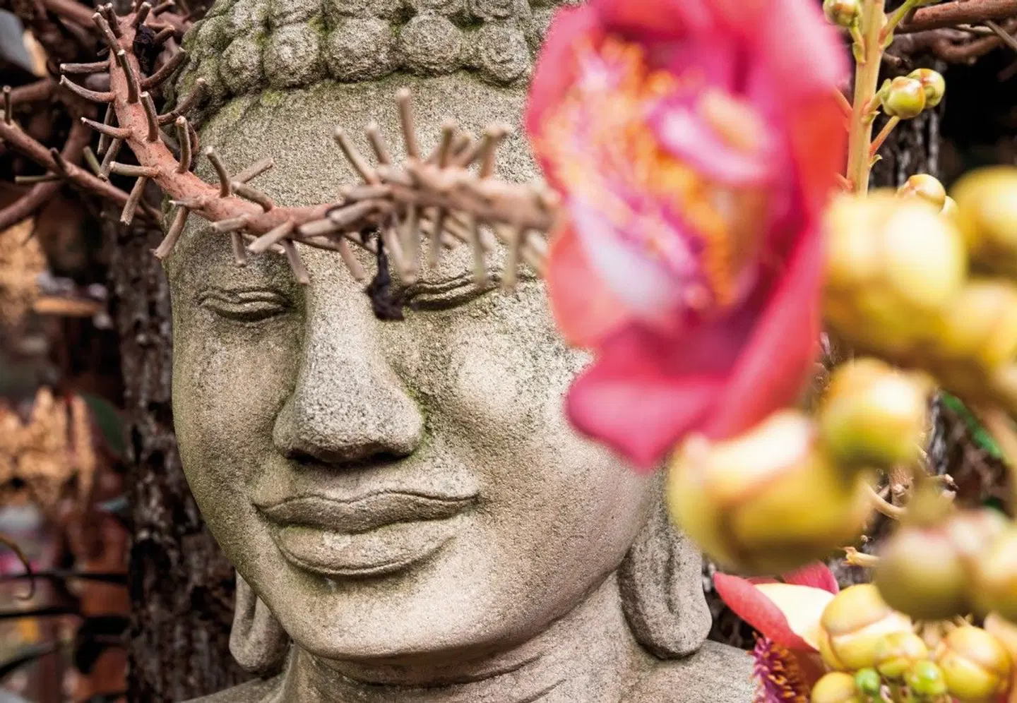 Indochina Highlights (Gruppenreise) Tiere