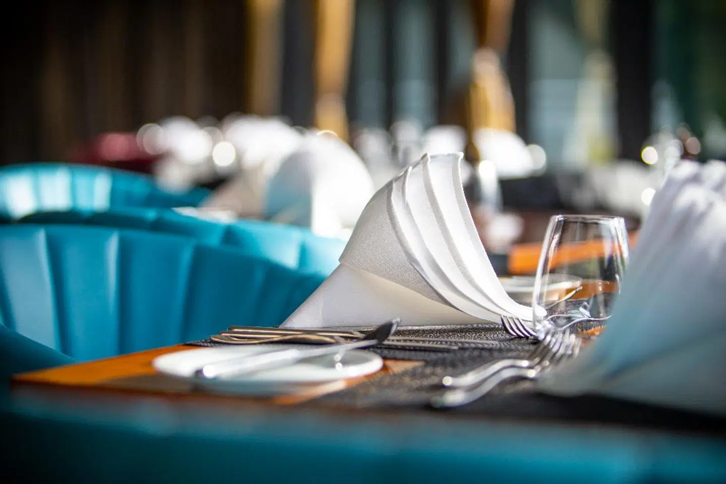 Copthorne Hotel Wellington, Oriental Bay Tiere