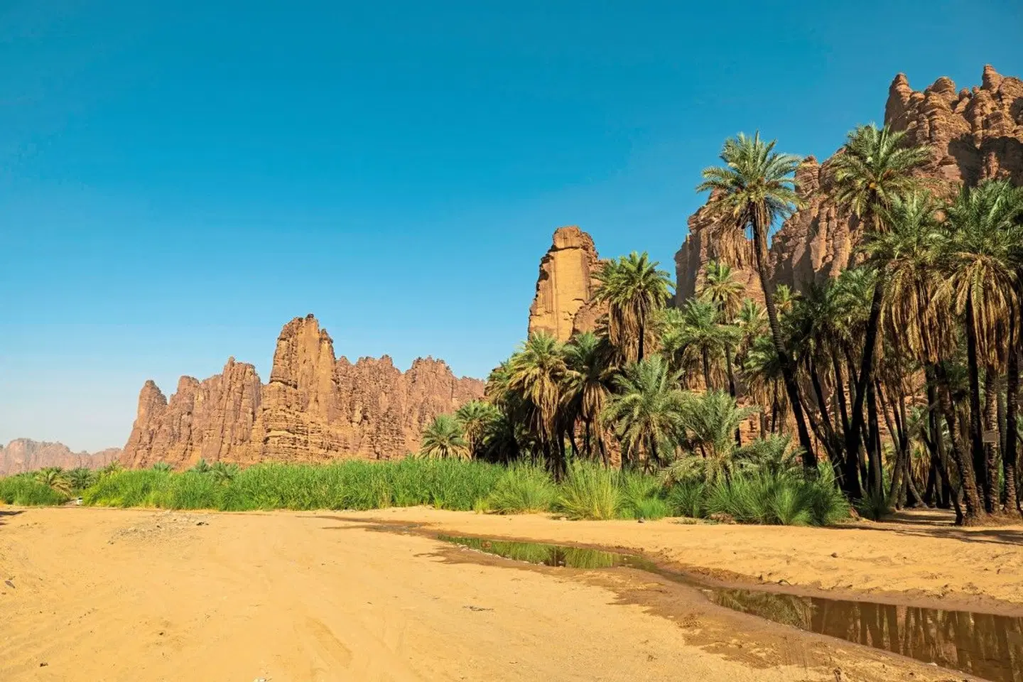 Saudi-Arabien zum Kennenlernen LANDSCAPE