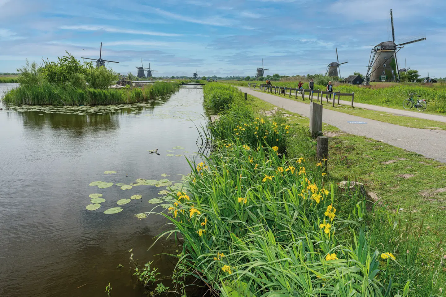 MS Normandie - Südholland LANDSCAPE