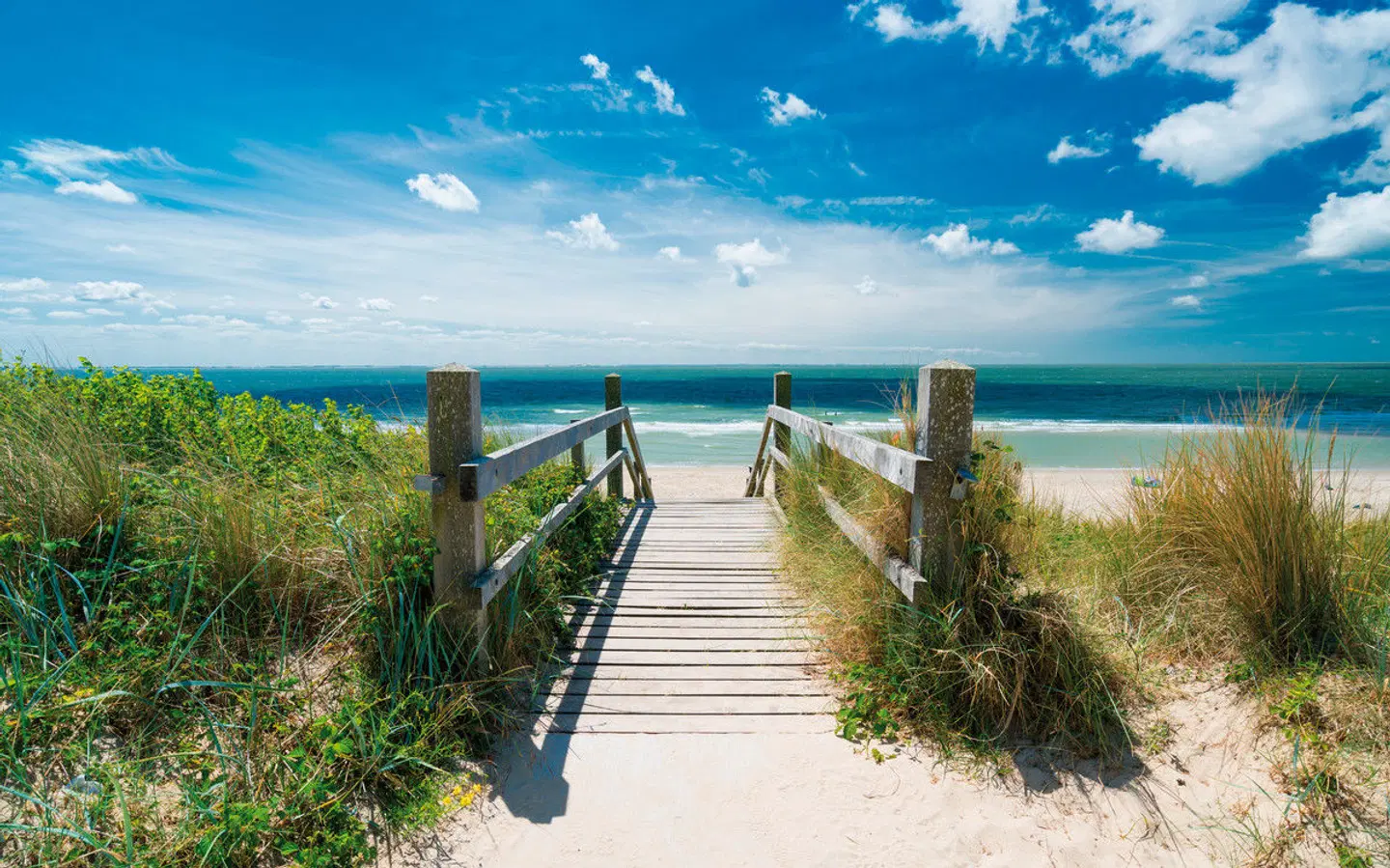 MS Normandie - Zeeland-Route Garten