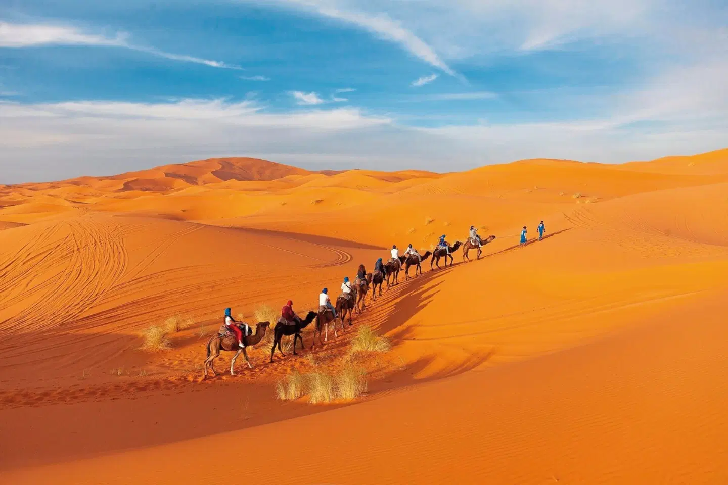 Marokkos Schätze - Küstenkultur, Marrakesch und die unendliche Weite der Wüste LANDSCAPE