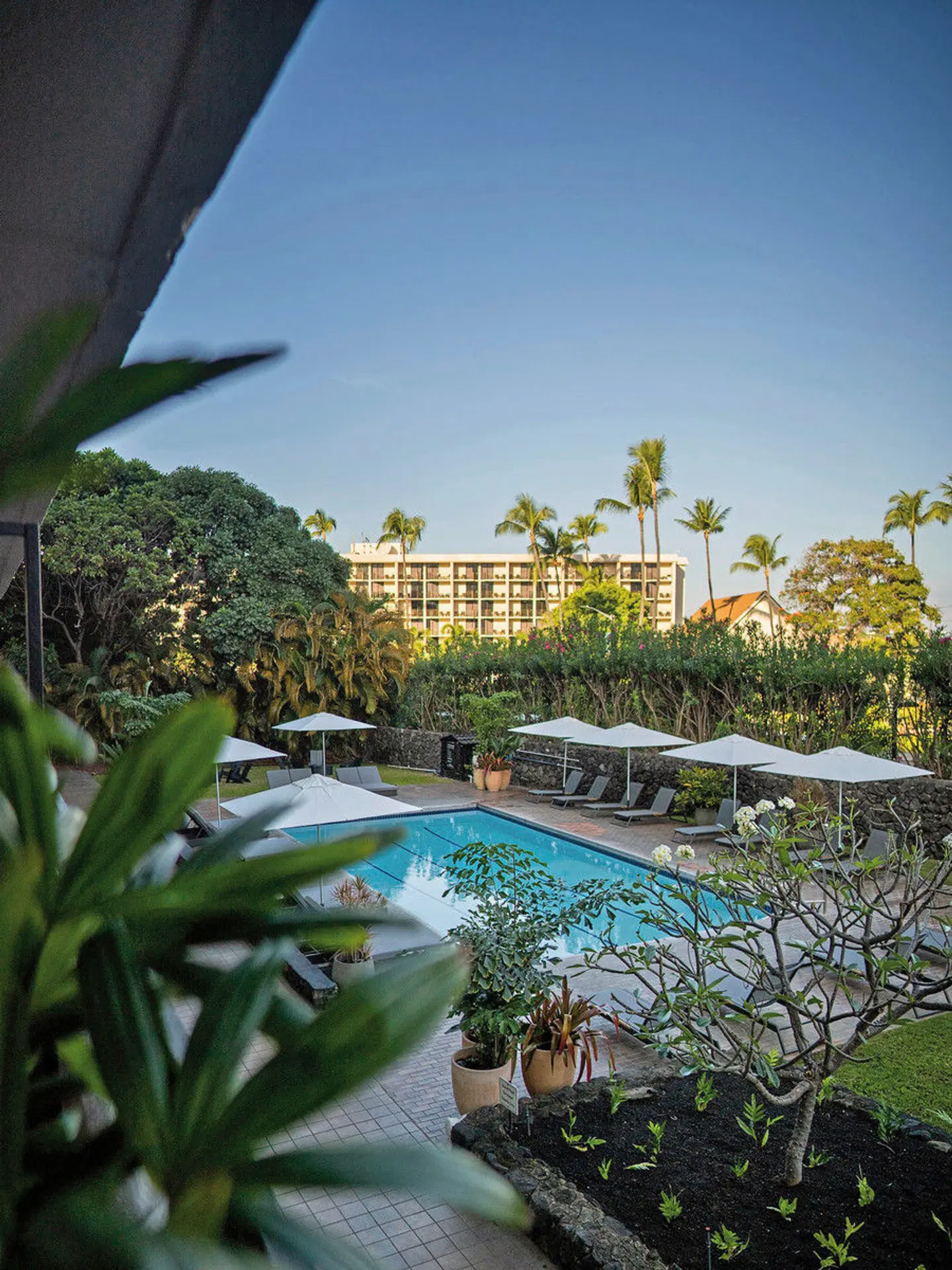 Pacific 19 Kona OUTDOOR_POOL