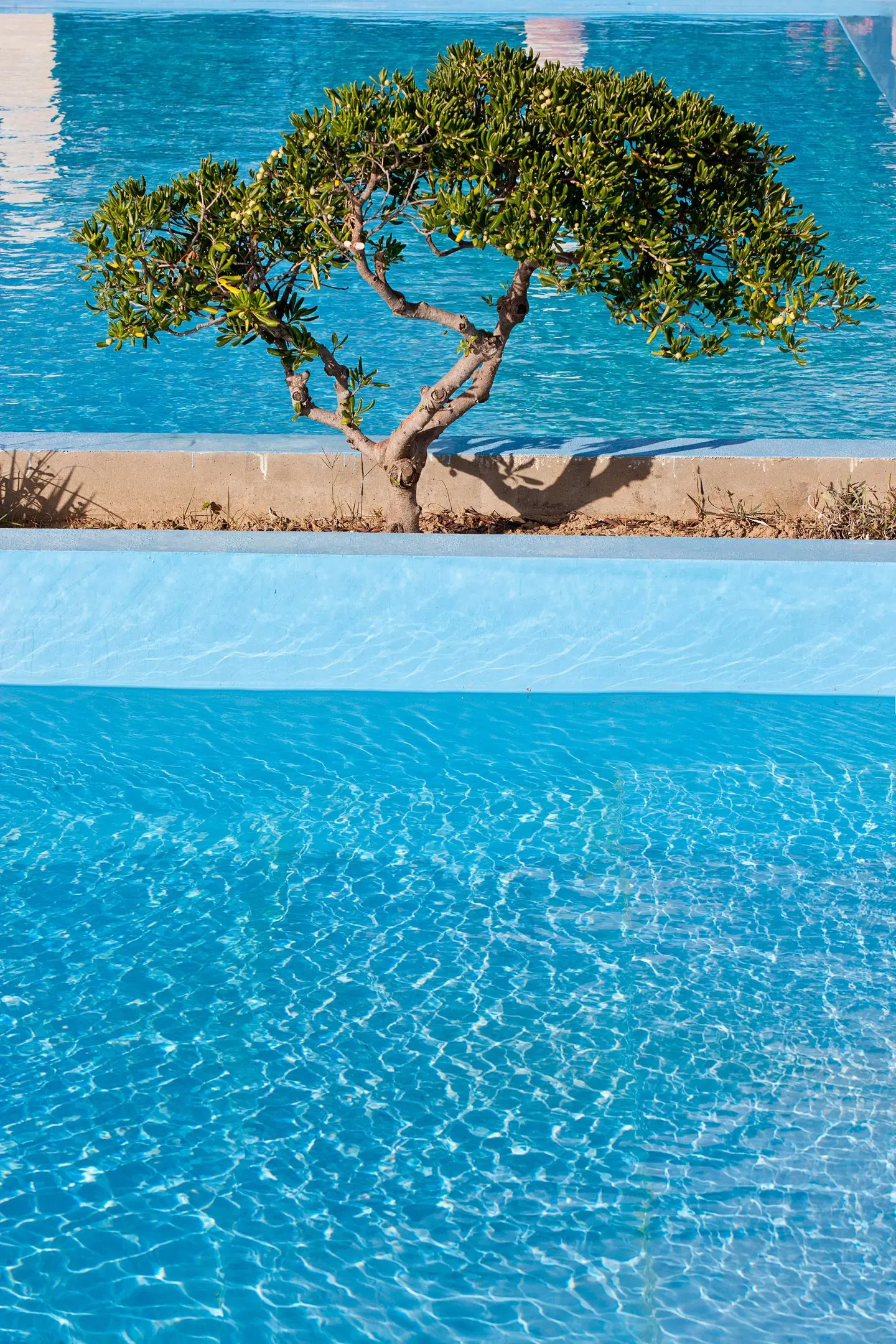 Mrs Chryssana Beach Hotel OUTDOOR_POOL