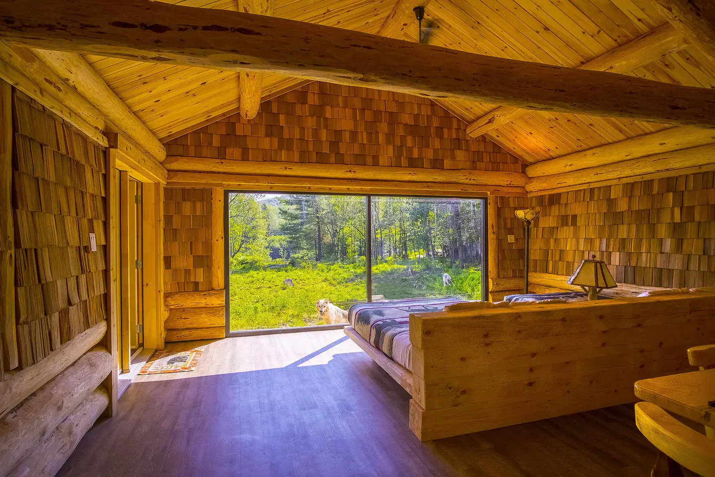 Parc Omega ROOM_EXAMPLE