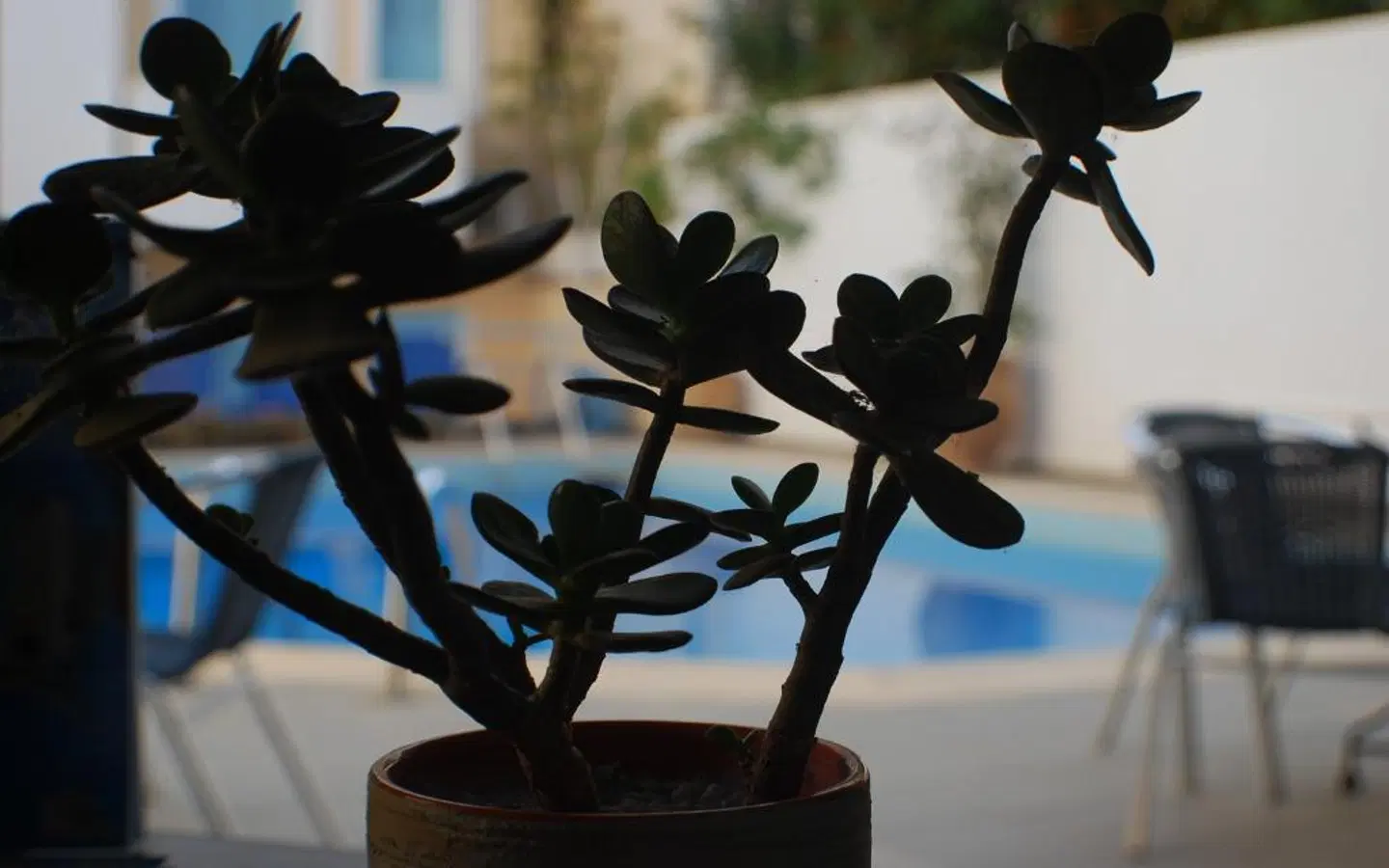 Renia Hotel SPORTS_AND_LEISURE