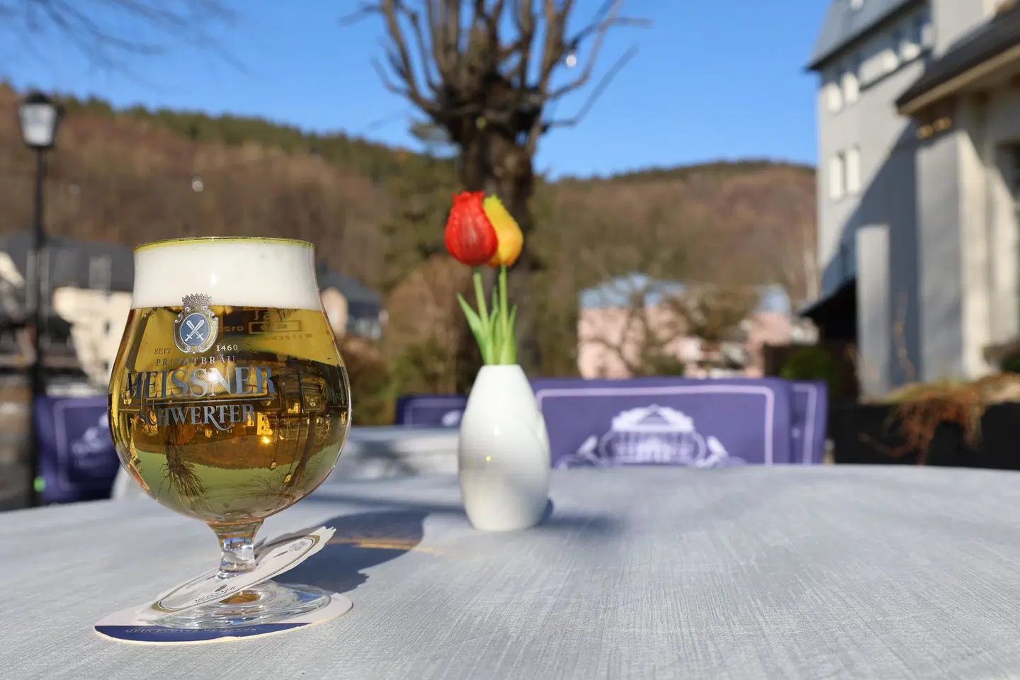 Neustädter Hof Terrasse