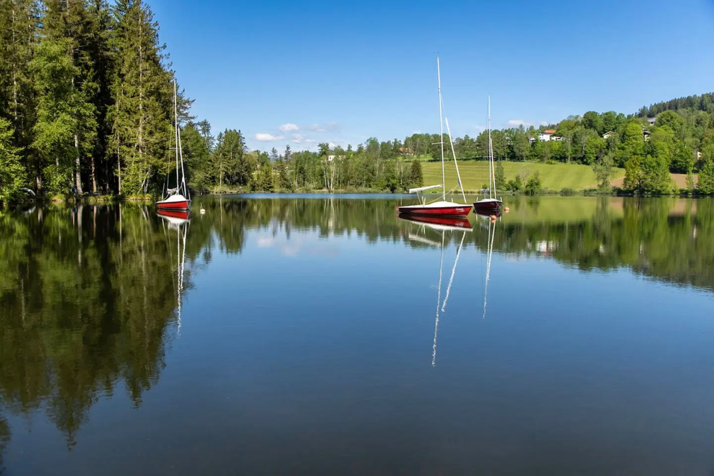 Feriendorf am Maltschacher See LANDSCAPE