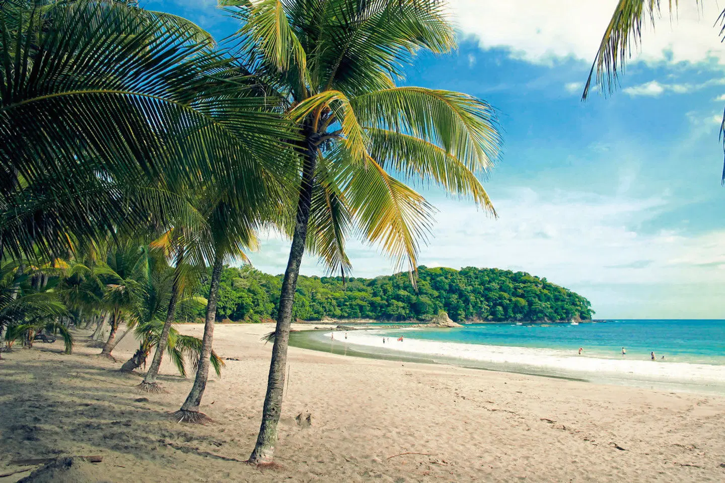 Costa Rica - Auf der Suche nach den Faultieren Strand