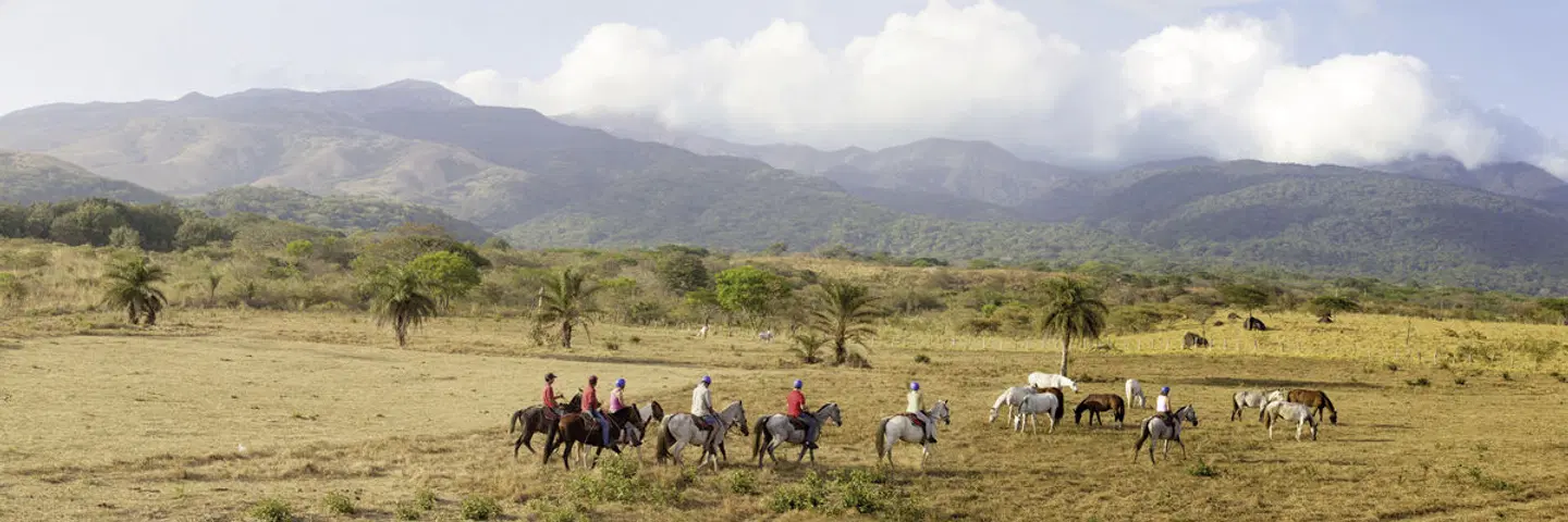 Costa Rica - Auf der Suche nach den Faultieren LANDSCAPE