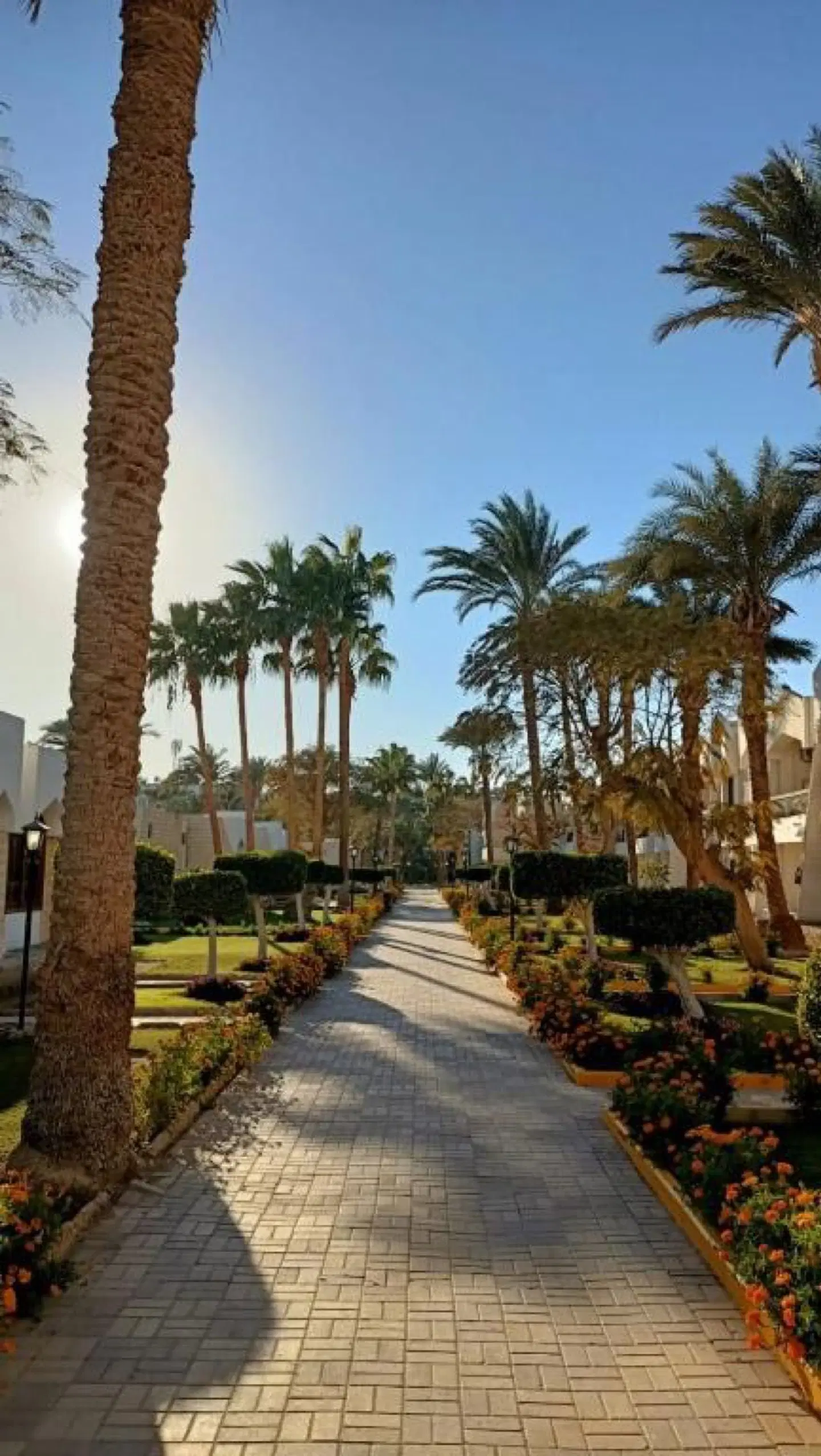 Regina Resort & Aquapark LANDSCAPE