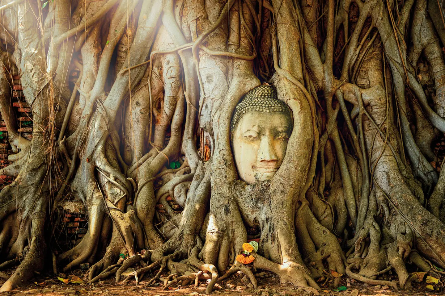 Nord-Thailand Kaleidoskop (mit Baden) Tiere