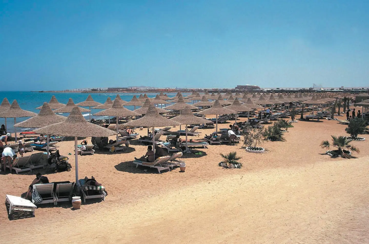 Ali Baba Palace LANDSCAPE