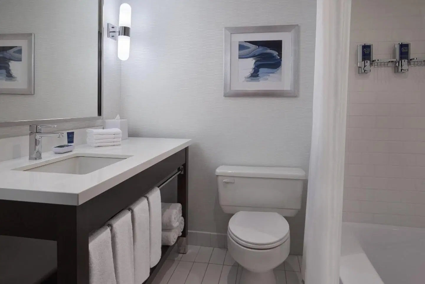 Four Points by Sheraton Hotel & Conference Centre Gatineau-Ottawa Badezimmer