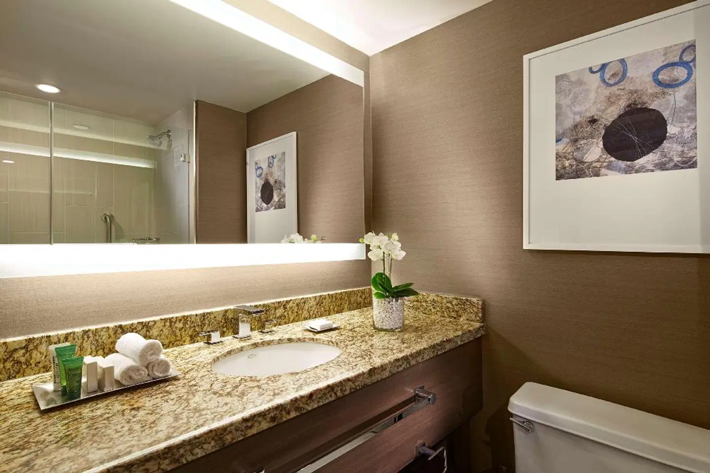 Hilton San Diego Mission Valley Badezimmer