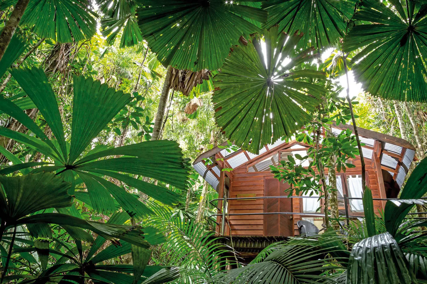 Daintree Wilderness Lodge Garten