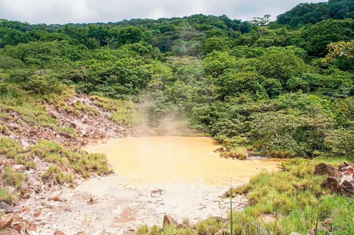 Grünes Paradies (10 Nächte ) LANDSCAPE