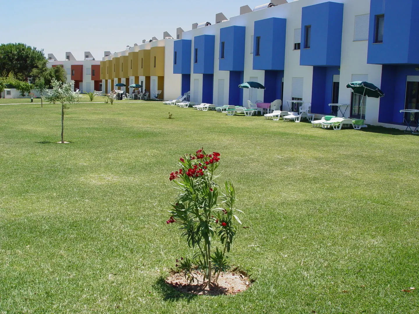 Quintinha Village Garten