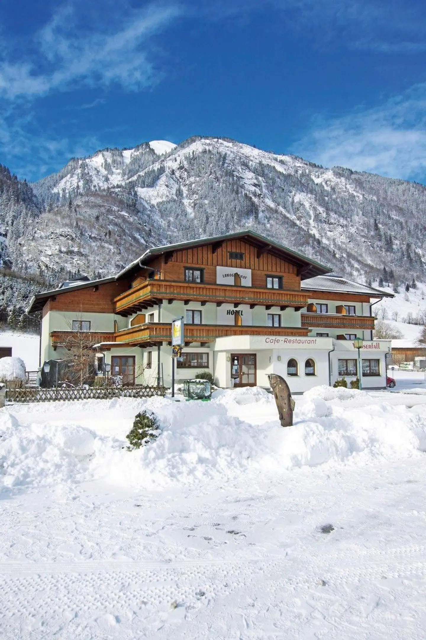 Hotel Wasserfall Tiere