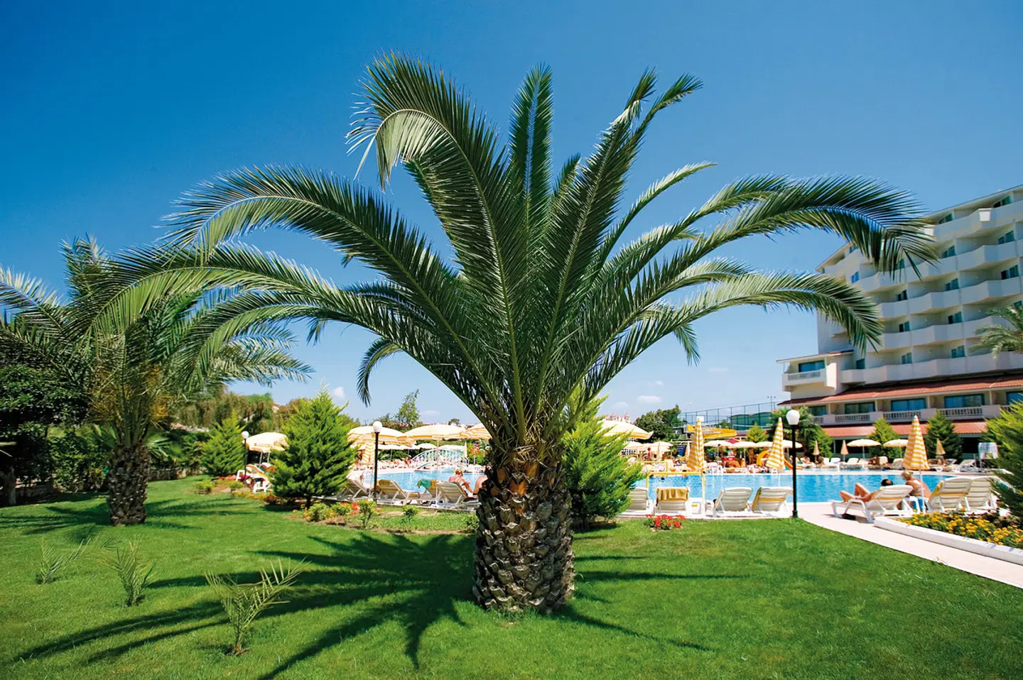 Febeach Hotel Garten