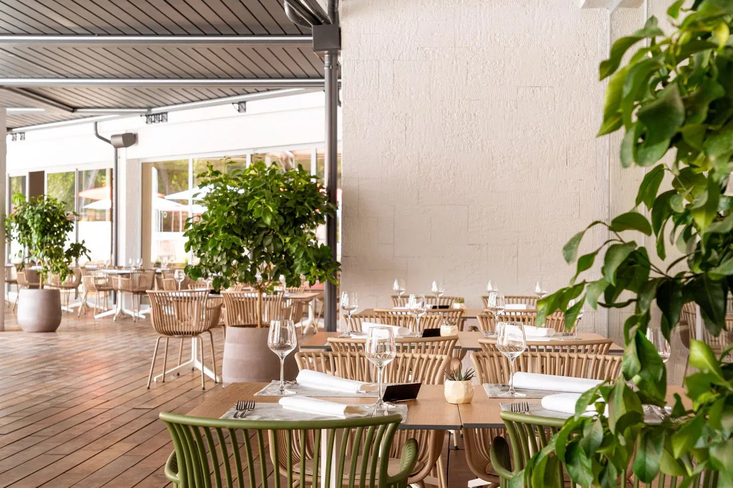 Pelegrin Plava Laguna Terrasse