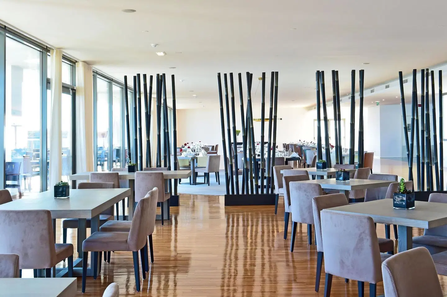 Algarve Race Resort - Hotel Bar