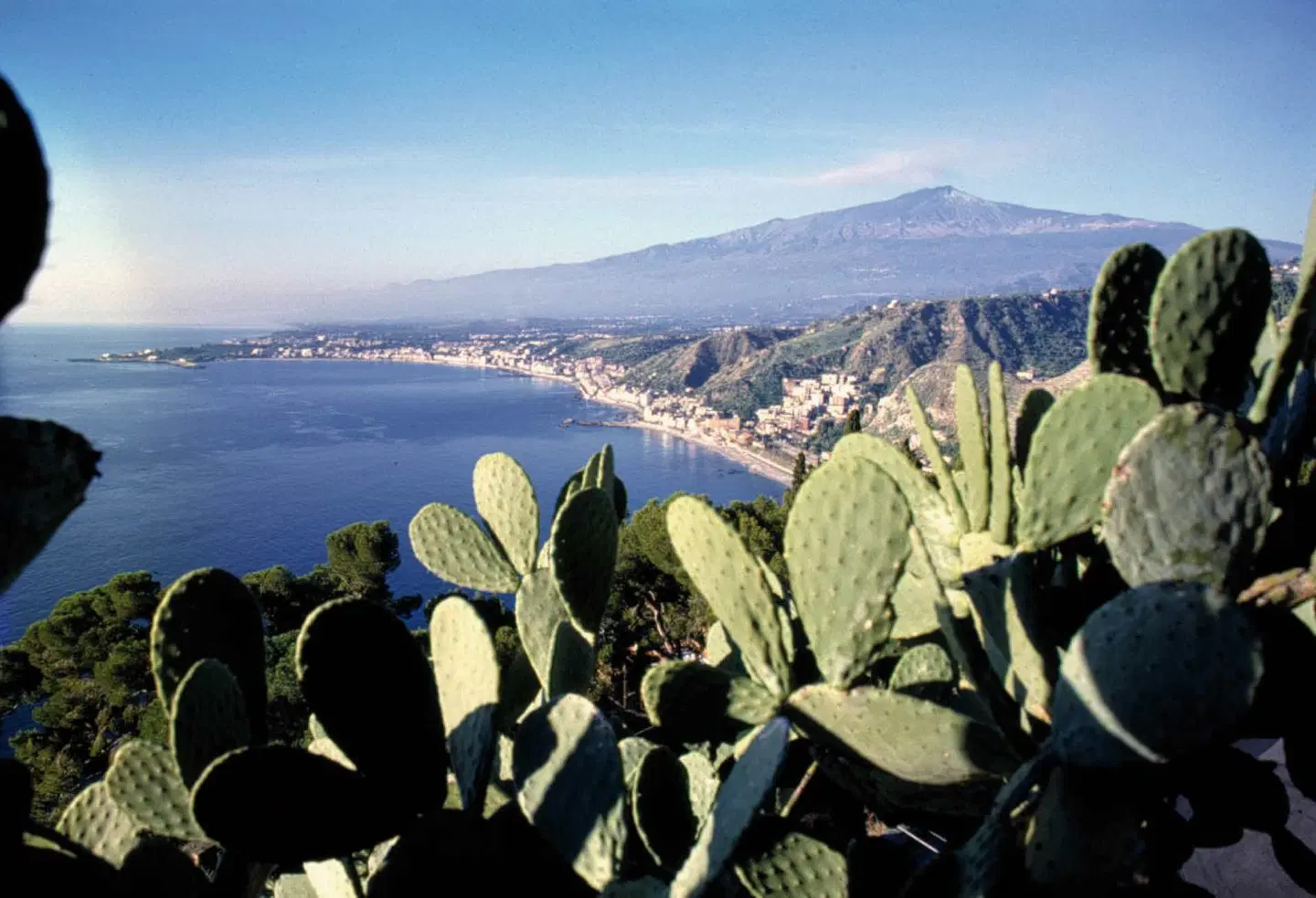 Hellenia Yachting Hotel & Spa LANDSCAPE