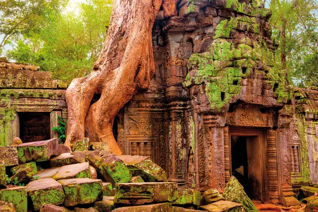 Stippvisite Angkor Wat Tiere