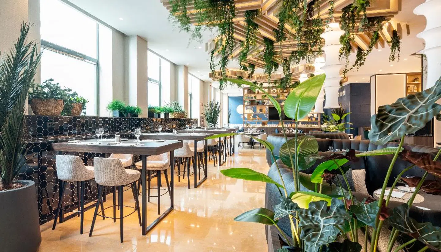 Hotel ILUNION Valencia 4 Bar