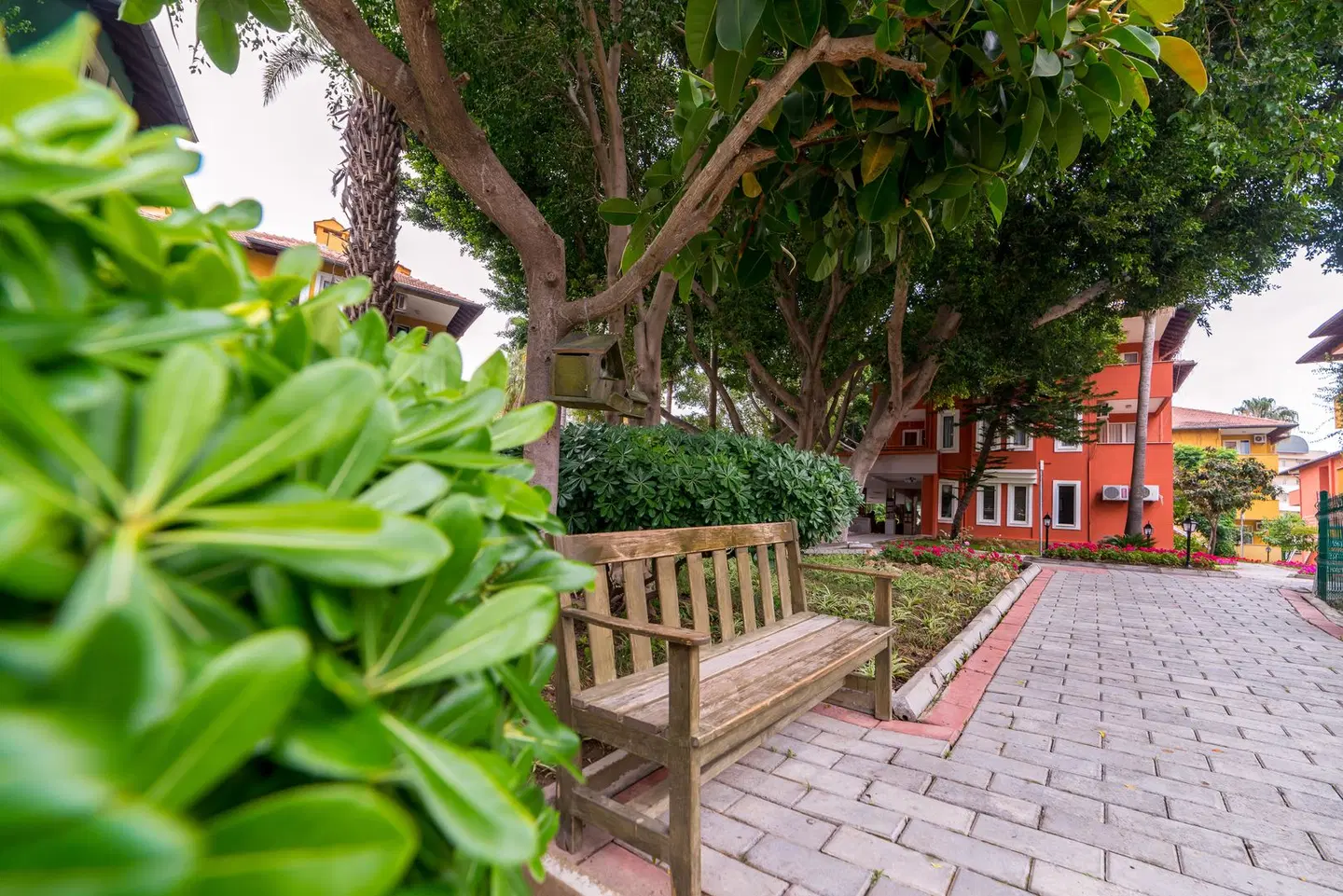 Armas Green Fugla Terrasse