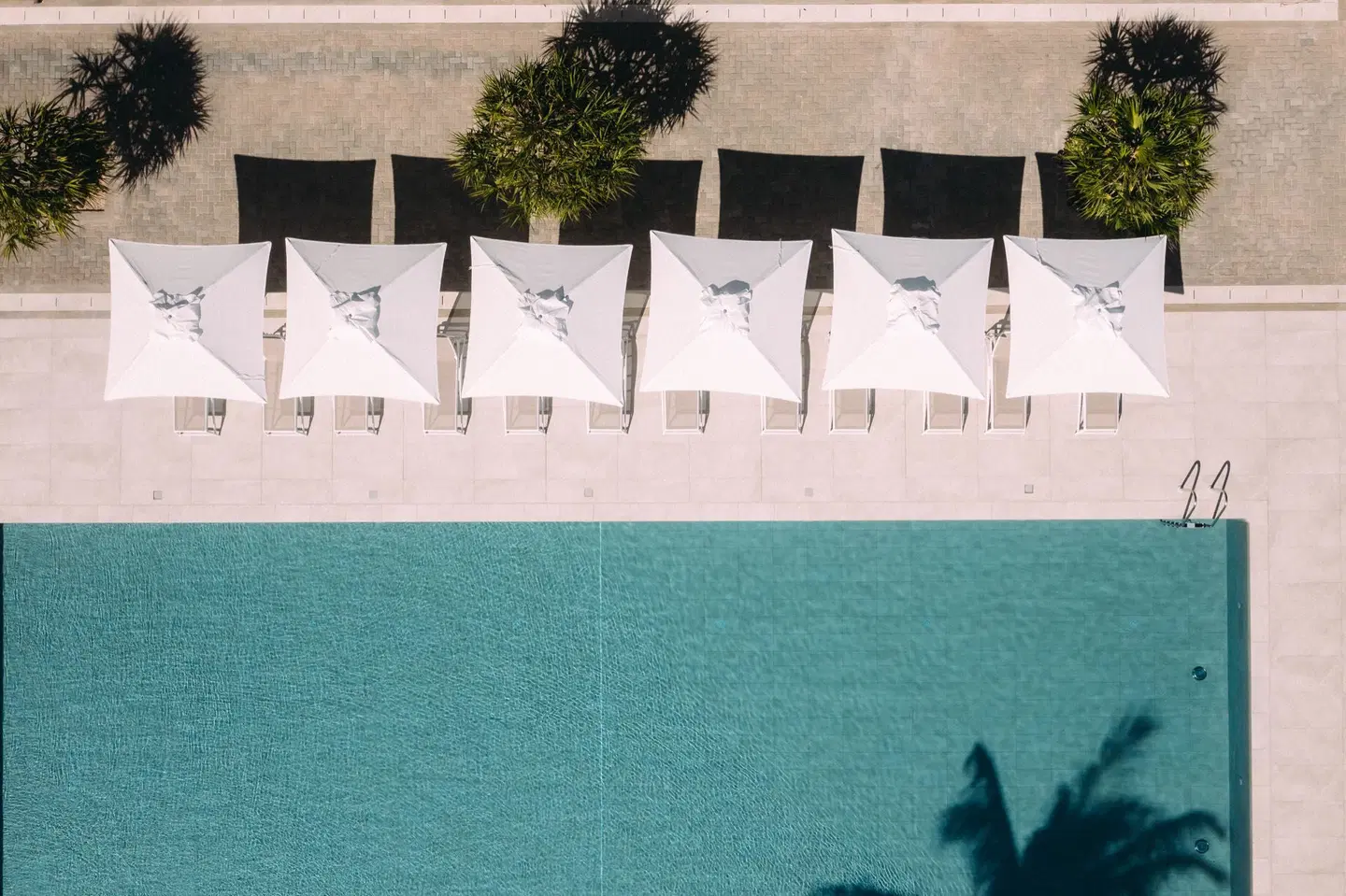 Cotton Bay Resort & Spa ROOM_EXAMPLE