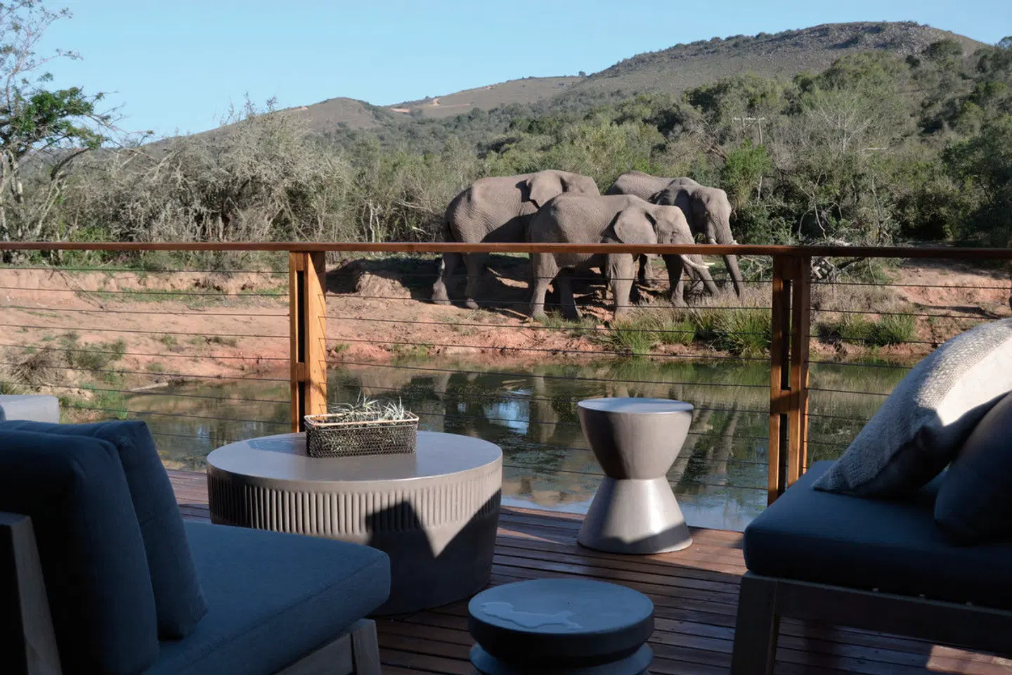 Barefoot Addo Elephant Lodge Terrasse