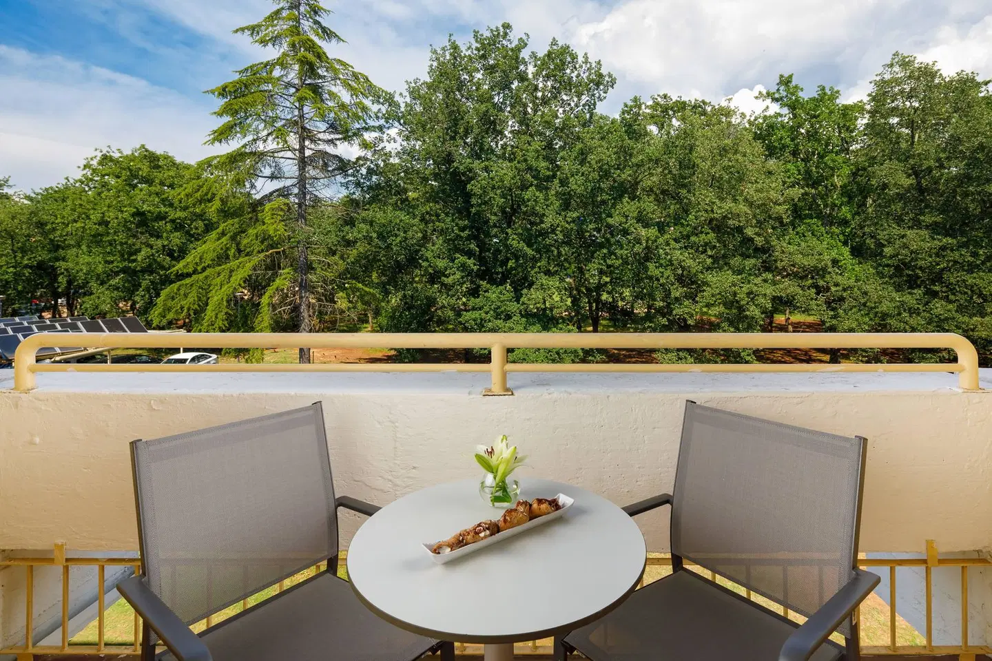 Aurora Plava Laguna ROOM_EXAMPLE