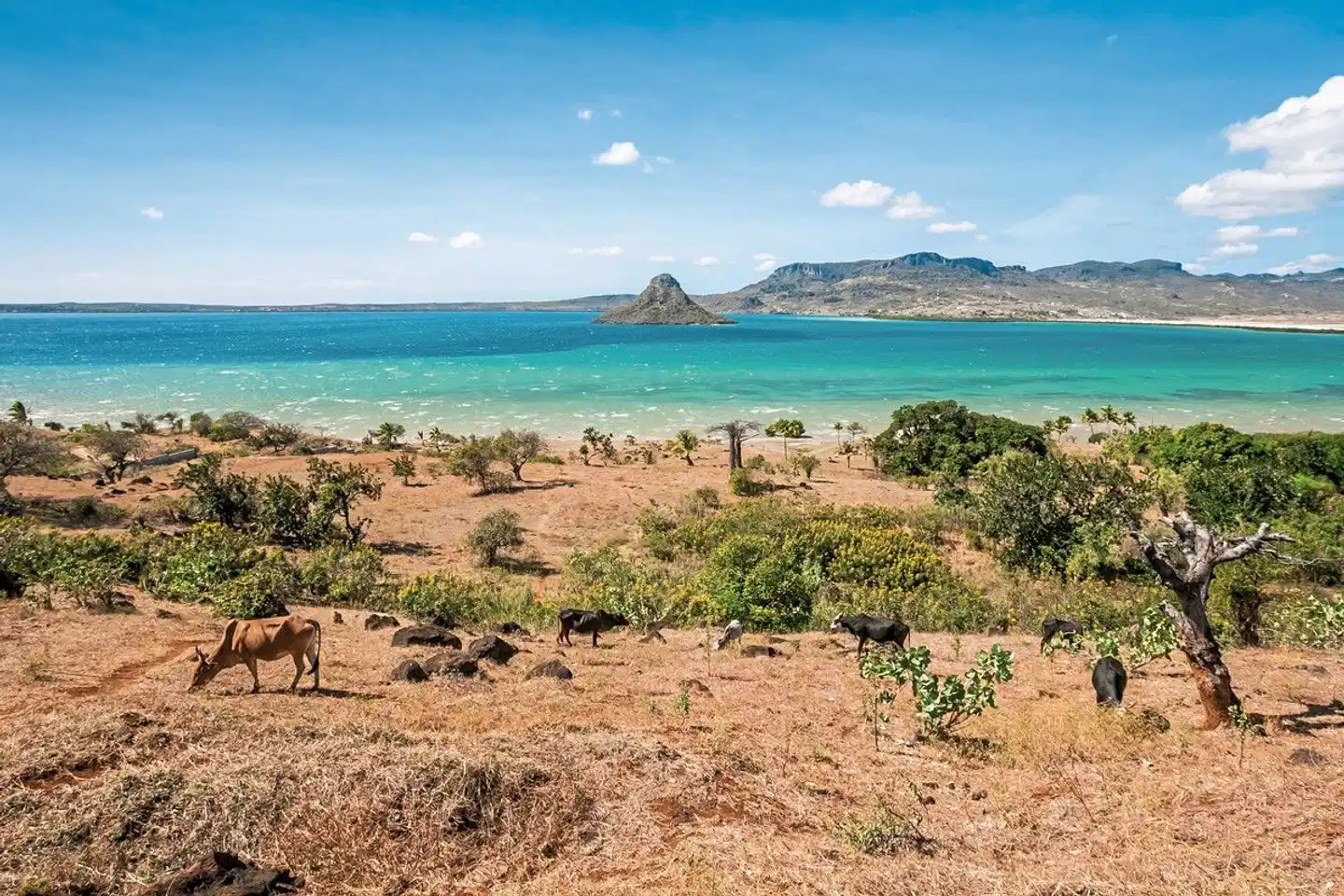 Madagaskar Intensiv Strand