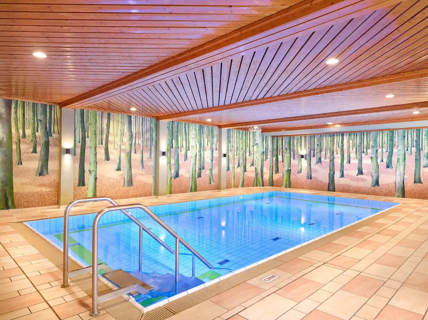 Hapimag Braunlage Hallenbad