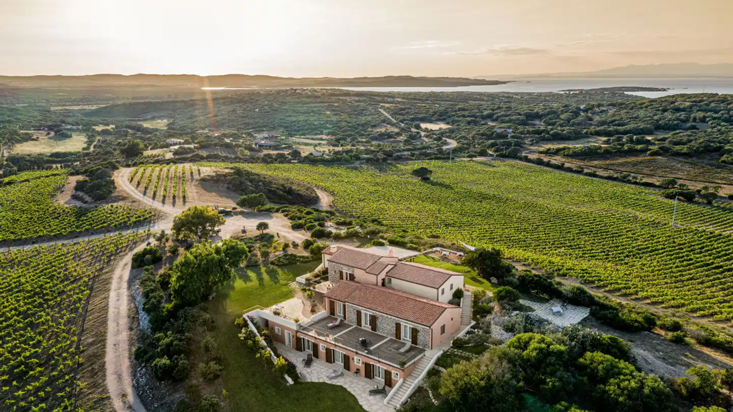 Tenuta Petra Bianca Landschaft