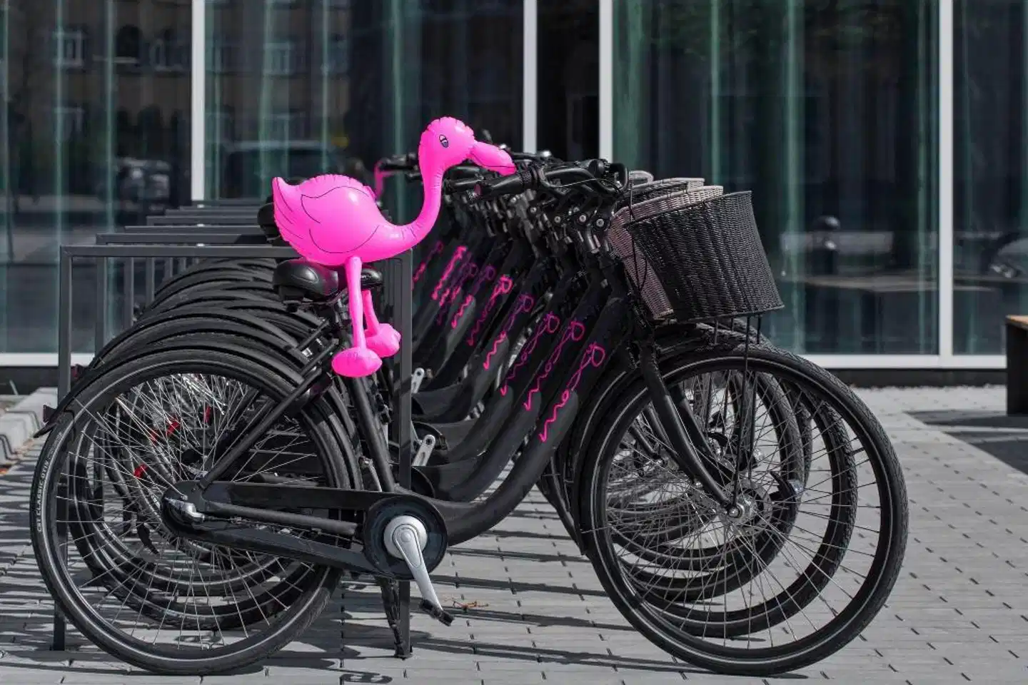 Moxy Copenhagen Sydhavnen Tiere