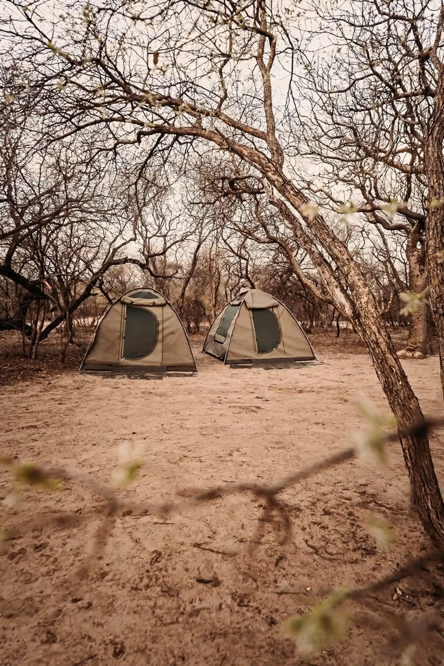 Drifters - Botswana Explorer Maun-Victoria Falls Strand