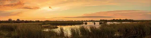 Floride Intensif Landschaft
