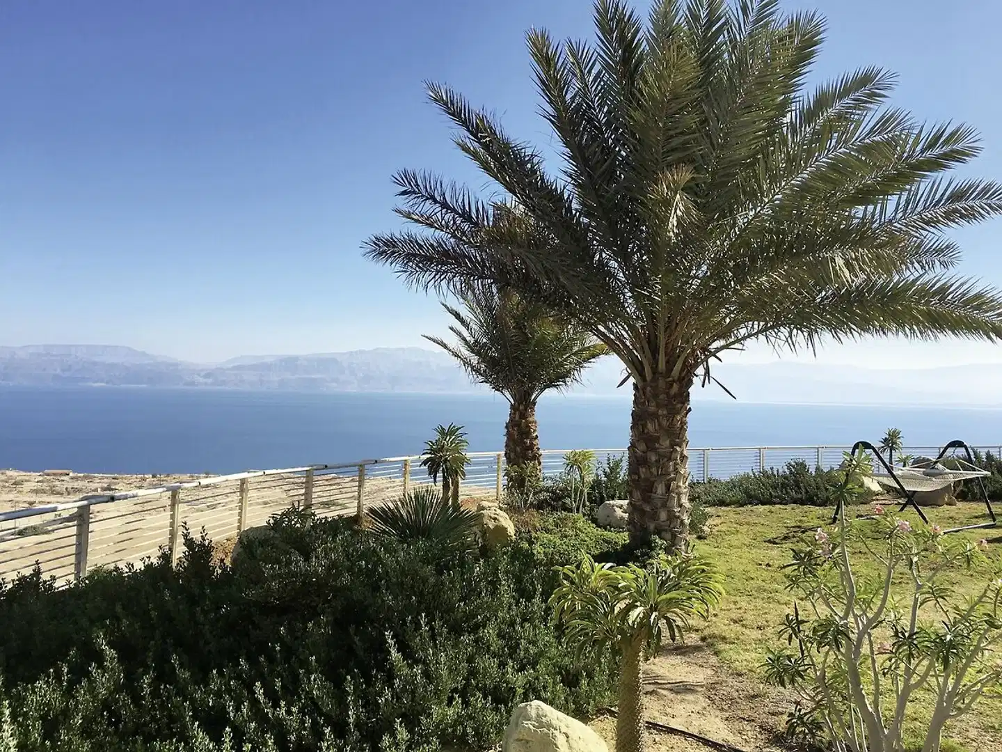 Ein Gedi Resort Dead Sea Garten