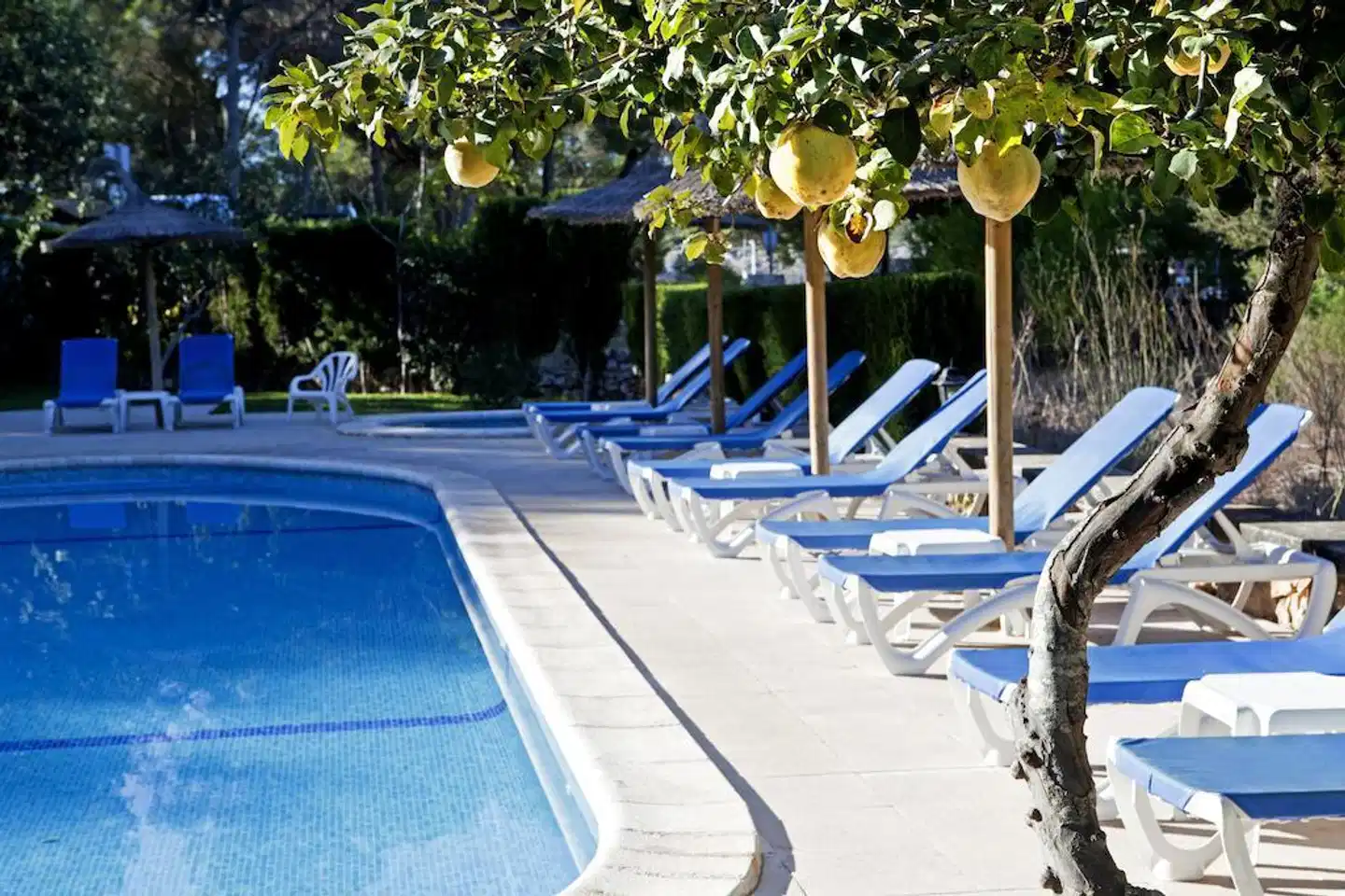 Playa Mondragó Pool
