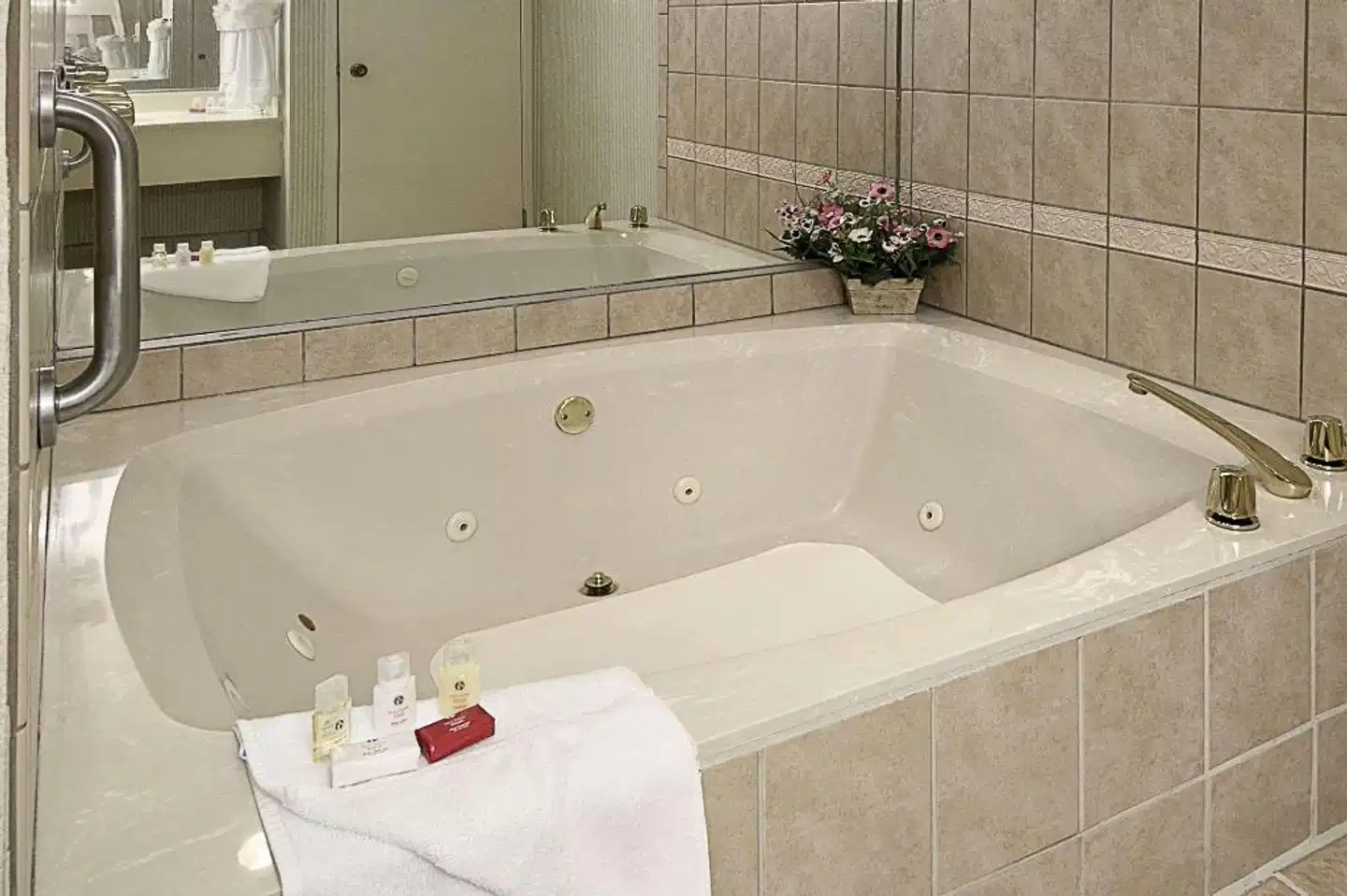 Ramada by Wyndham Asheville Southeast Badezimmer